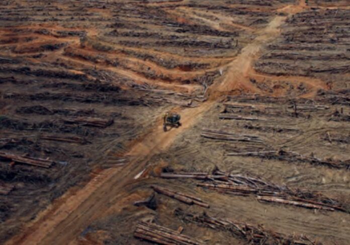 Screenshot 2023-03-29 054518